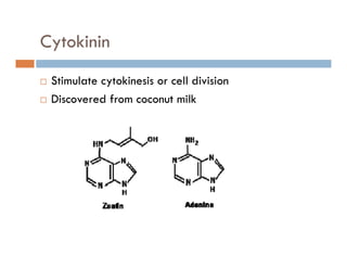 Cytokininy
Stimulate cytokinesis or cell divisionStimulate cytokinesis or cell division
Discovered from coconut milk
 