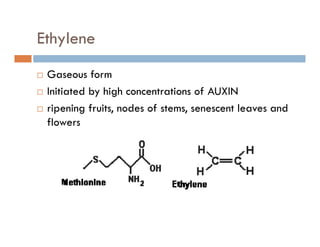Ethyleney
Gaseous formGaseous form
Initiated by high concentrations of AUXIN
ripening fruits nodes of stems senescent leaves andripening fruits, nodes of stems, senescent leaves and
flowers
 