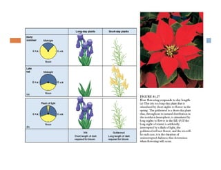 Plant growth and development [compatibility mode]
