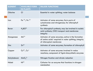 ELEMENT AVAILABLE FORM
IN PLANTS
MAJOR FUNCTIONS
Chlorine Cl- Essential in water splitting; water balanceC o e C sse a wa e sp g; wa e ba a ce
Iron Fe 3+; Fe 2+ Activator of some enzymes; form parts of
h d f hl h llcytochromes and nitrogenase; for chlorophyll
synthesis
Boron H2BO3- For chlorophyll synthesis; may be involved in nucleic
acid synthesis CHO transport and membraneacid synthesis, CHO transport and membrane
integrity
Manganese Mn2+ Activator of some enzymes; active in the formation
of amino acids’ required in water splitting; integrityof amino acids required in water splitting; integrity
of chloroplast membrane
Zinc Zn2+ Activator of some enzymes; formation of chlorophyll
Copper Cu2+, Cu+ Activator of some enzymes involved in redox
reactions; component of lignin-biosynthetic enzymes
Molybdenum MoO 2- Nitrogen fixation and nitrate reductionMolybdenum MoO4
2 Nitrogen fixation and nitrate reduction
Nickel Ni2+ Cofactor for an enzyme that functions in nitrogen
metabolism
 