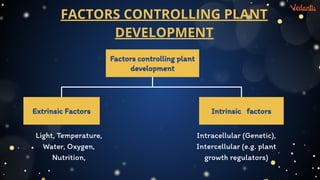 Intrinsic Development Plant+Growth+and+Development+L1+Plant+hormones.pdf