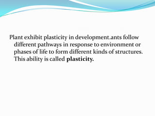 Plant exhibit plasticity in development.ants follow
different pathways in response to environment or
phases of life to form different kinds of structures.
This ability is called plasticity.
 