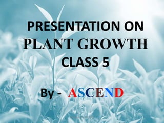 PRESENTATION ON
PLANT GROWTH
CLASS 5
By - ASCEND
Prepared by ASCEND
 