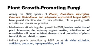 Plant Growth-Promoting Fungi
• Among the PGPF, species of Phoma, Penicillium, Aspergillus,
Fusarium, Trichoderma, and arbuscular mycorrhizal fungus (AMF)
have gained attention due to their effective role in plant growth
activities and disease suppression.
• Mechanisms, stimulating plant growth by PGPF, involve production of
plant hormones, decomposing organic matter, solubilization of
unavailable soil bound nutrient elements, and protection of plants
from biotic and abiotic stresses.
• Indirect growth promotion by PGPF occurs via niche exclusion,
antibiosis, predation, mycoparasitism, and ISR.
 