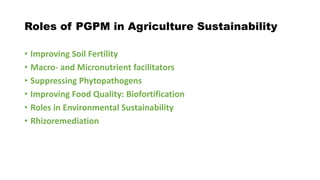 Roles of PGPM in Agriculture Sustainability
• Improving Soil Fertility
• Macro- and Micronutrient facilitators
• Suppressing Phytopathogens
• Improving Food Quality: Biofortification
• Roles in Environmental Sustainability
• Rhizoremediation
 