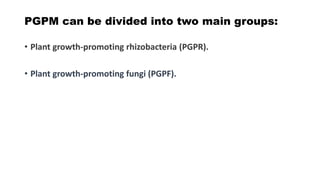 PGPM can be divided into two main groups:
• Plant growth-promoting rhizobacteria (PGPR).
• Plant growth-promoting fungi (PGPF).
 