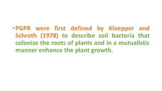 •PGPR were first defined by Kloepper and
Schroth (1978) to describe soil bacteria that
colonize the roots of plants and in a mutualistic
manner enhance the plant growth.
 