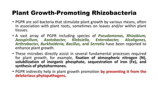 Plant Growth-Promoting Rhizobacteria
• PGPR are soil bacteria that stimulate plant growth by various means, often
in assoc...