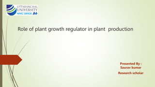 Role of plant growth regulator in plant production
Presented By :
Saurav kumar
Research scholar
 
