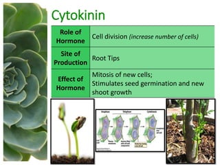 Cytokinin
Role of
Hormone
Cell division (increase number of cells)
Site of
Production
Root Tips
Effect of
Hormone
Mitosis of new cells;
Stimulates seed germination and new
shoot growth
 