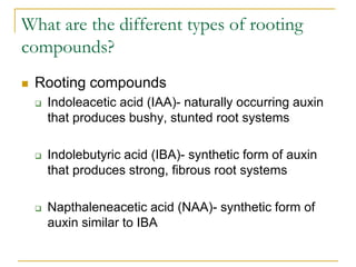 Root Acids Plant growth regulators | PPSX