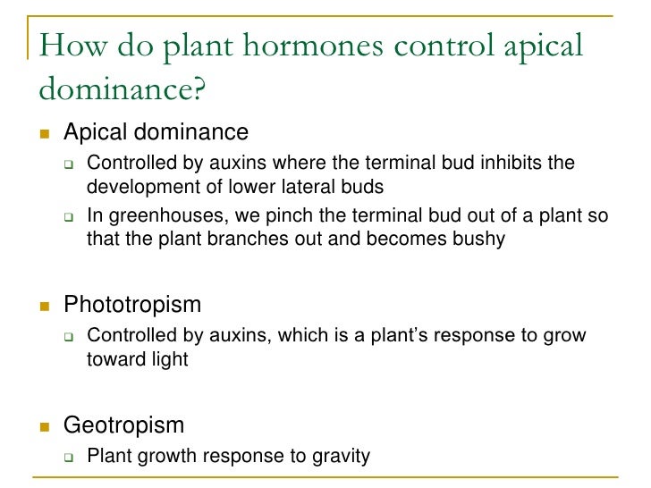 Plant growth regulators