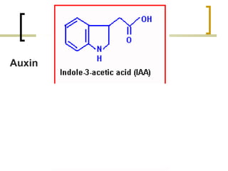 Auxin 