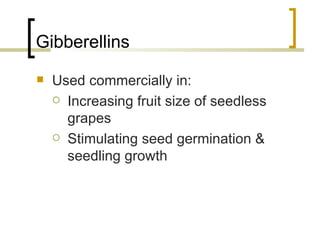 Gibberellins Used commercially in: Increasing fruit size of seedless grapes Stimulating seed germination & seedling growth 