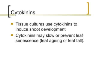 Cytokinins Tissue cultures use cytokinins to induce shoot development Cytokinins may slow or prevent leaf senescence (leaf ageing or leaf fall). 