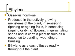 Ethylene Gaseous hormone Produced in the actively growing meristems of the plant, in senescing ripening or ageing fruits, in senescing (ageing or dying) flowers, in germinating seeds and in certain plant tissues as a response to bending, wounding or bruising. Ethylene as a gas, diffuses readily throughout the plant. 