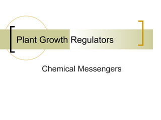 Plant Growth Regulators Chemical Messengers 