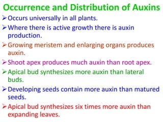 Occurrence and Distribution of Auxins
Occurs universally in all plants.
Where there is active growth there is auxin
production.
Growing meristem and enlarging organs produces
auxin.
Shoot apex produces much auxin than root apex.
Apical bud synthesizes more auxin than lateral
buds.
Developing seeds contain more auxin than matured
seeds.
Apical bud synthesizes six times more auxin than
expanding leaves.
 
