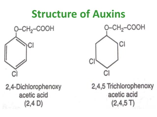 Structure of Auxins
 