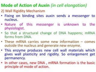 Mode of Action of Auxin (in cell elongation)
2) Wall Rigidity Mechanism
• Fixing on binding sites auxin sends a messenger to
nucleus.
• Nature of this messenger is unknown to the
physiologist.
• So that a structural change of DNA happens; mRNA
forms from DNA.
• These mRNA carries some new information – comes
outside the nucleus and generate new enzyme.
• This enzyme produces new cell wall materials which
gives wall plasticity and rigidity. So enlargement get
permanency.
• In other cases, new DNA , mRNA formation is the basic
principle of mode of action.
 