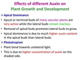 Effects of different Auxin on
Plant Growth and Development
Apical Dominance
• Apical or terminal buds of many vascular plants are
very active while the lateral buds remain inactive.
• Removal of apical buds promotes lateral buds to grow.
• Apical dominance is due to much higher auxin content
in the apical buds than lateral buds.
Phototropism
• Plant bend towards unilateral light.
• This is due to higher concentration of auxin on the
shaded side.
 