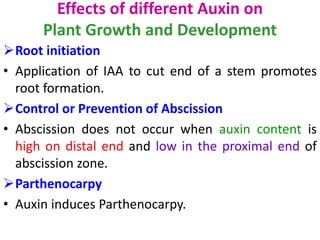Effects of different Auxin on
Plant Growth and Development
Root initiation
• Application of IAA to cut end of a stem promotes
root formation.
Control or Prevention of Abscission
• Abscission does not occur when auxin content is
high on distal end and low in the proximal end of
abscission zone.
Parthenocarpy
• Auxin induces Parthenocarpy.
 