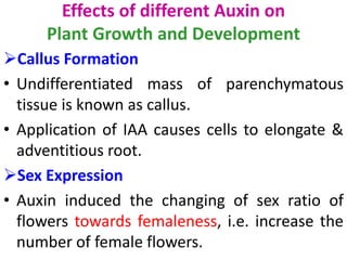 Effects of different Auxin on
Plant Growth and Development
Callus Formation
• Undifferentiated mass of parenchymatous
tissue is known as callus.
• Application of IAA causes cells to elongate &
adventitious root.
Sex Expression
• Auxin induced the changing of sex ratio of
flowers towards femaleness, i.e. increase the
number of female flowers.
 