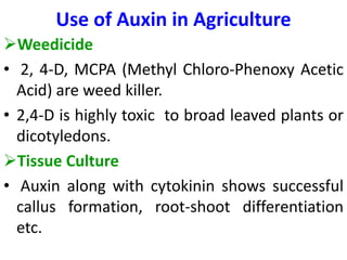 Use of Auxin in Agriculture
Weedicide
• 2, 4-D, MCPA (Methyl Chloro-Phenoxy Acetic
Acid) are weed killer.
• 2,4-D is highly toxic to broad leaved plants or
dicotyledons.
Tissue Culture
• Auxin along with cytokinin shows successful
callus formation, root-shoot differentiation
etc.
 