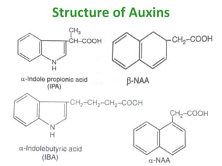 Structure of Auxins
 