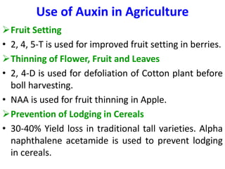 Use of Auxin in Agriculture
Fruit Setting
• 2, 4, 5-T is used for improved fruit setting in berries.
Thinning of Flower,...