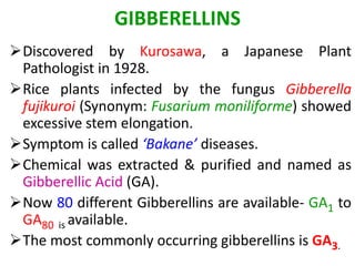 GIBBERELLINS
Discovered by Kurosawa, a Japanese Plant
Pathologist in 1928.
Rice plants infected by the fungus Gibberella...