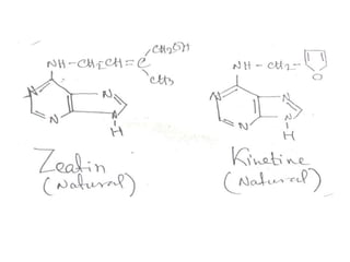 Growth Retardant
1. ETHYLENE (CH2=CH2)
• Growth retardant.
• Ethylene promotes ripening
2. ABSCISSIC ACID (ABA)
• Growth r...