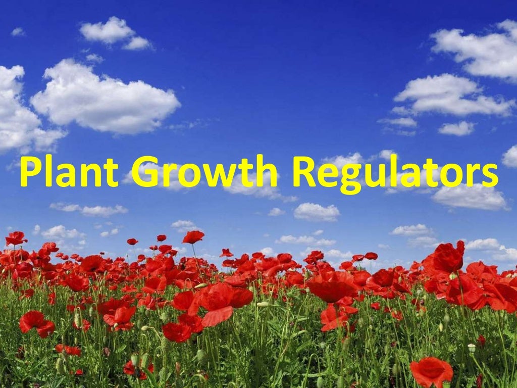 Plant growth regulators