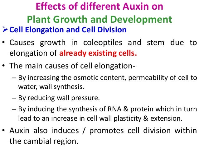 Plant Growth Regulators - 638x479 - jpeg Auxin Effects