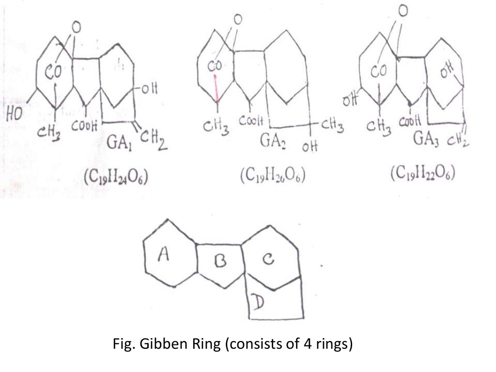 Plant growth regulators
