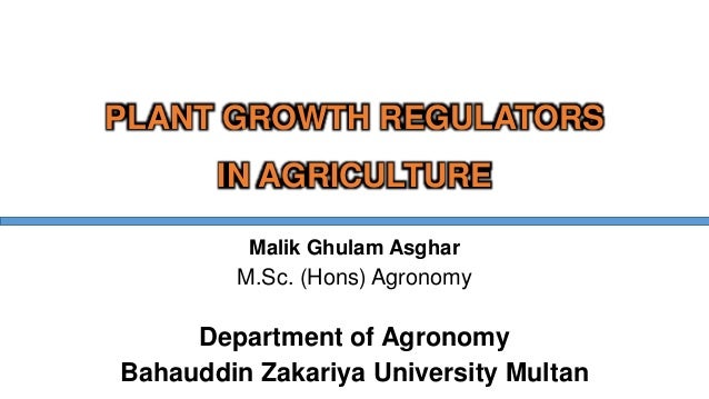 Application Of Plant Growth Regulators Pgr S In Agriculture