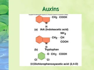 Auxins
 