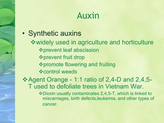 Auxin
• Synthetic auxins
widely used in agriculture and horticulture
prevent leaf abscission
prevent fruit drop
promote flowering and fruiting
control weeds
Agent Orange - 1:1 ratio of 2,4-D and 2,4,5-
T used to defoliate trees in Vietnam War.
Dioxin usually contaminates 2,4,5-T, which is linked to
miscarriages, birth defects,leukemia, and other types of
cancer.
 