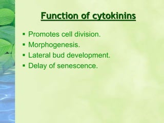 Function of cytokinins
 Promotes cell division.
 Morphogenesis.
 Lateral bud development.
 Delay of senescence.
 