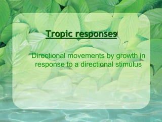 Tropic responses
Directional movements by growth in
response to a directional stimulus
 