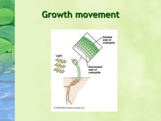 Growth movement
 