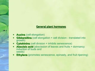 General plant hormones
 Auxins (cell elongation)
 Gibberellins (cell elongation + cell division - translated into
growth)
 Cytokinins (cell division + inhibits senescence)
 Abscisic acid (abscission of leaves and fruits + dormancy
induction of buds and
seeds)
 Ethylene (promotes senescence, epinasty, and fruit ripening)
 