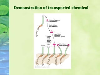 Demonstration of transported chemical
 