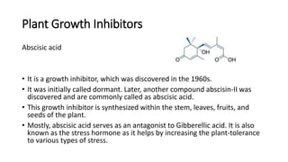 Plant Growth Inhibitors
Abscisic acid
• It is a growth inhibitor, which was discovered in the 1960s.
• It was initially called dormant. Later, another compound abscisin-II was
discovered and are commonly called as abscisic acid.
• This growth inhibitor is synthesized within the stem, leaves, fruits, and
seeds of the plant.
• Mostly, abscisic acid serves as an antagonist to Gibberellic acid. It is also
known as the stress hormone as it helps by increasing the plant-tolerance
to various types of stress.
 