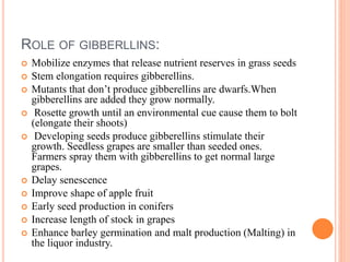 ROLE OF GIBBERLLINS:
 Mobilize enzymes that release nutrient reserves in grass seeds
 Stem elongation requires gibberellins.
 Mutants that don’t produce gibberellins are dwarfs.When
gibberellins are added they grow normally.
 Rosette growth until an environmental cue cause them to bolt
(elongate their shoots)
 Developing seeds produce gibberellins stimulate their
growth. Seedless grapes are smaller than seeded ones.
Farmers spray them with gibberellins to get normal large
grapes.
 Delay senescence
 Improve shape of apple fruit
 Early seed production in conifers
 Increase length of stock in grapes
 Enhance barley germination and malt production (Malting) in
the liquor industry.
 