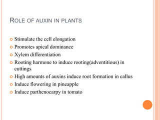 ROLE OF AUXIN IN PLANTS
 Stimulate the cell elongation
 Promotes apical dominance
 Xylem differentiation
 Rooting harmone to induce rooting(adventitious) in
cuttings
 High amounts of auxins induce root formation in callus
 Induce flowering in pineapple
 Induce parthenocarpy in tomato
 