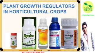 Vishal Agri Guru
PLANT GROWTH REGULATORS
IN HORTICULTURAL CROPS
 