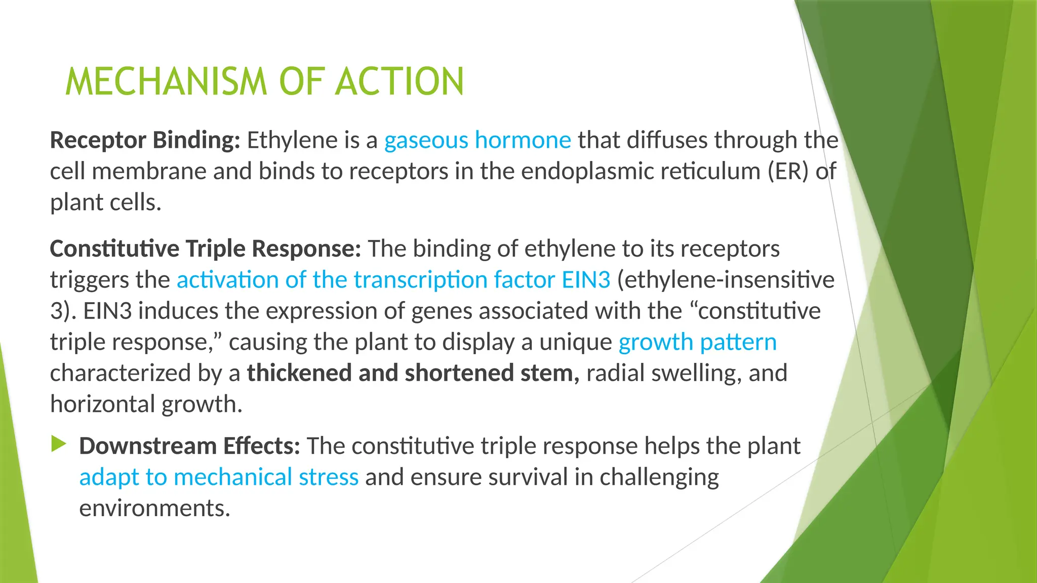 plant harmone- abscisic acid & ethylene and mechanism of action | PPTX