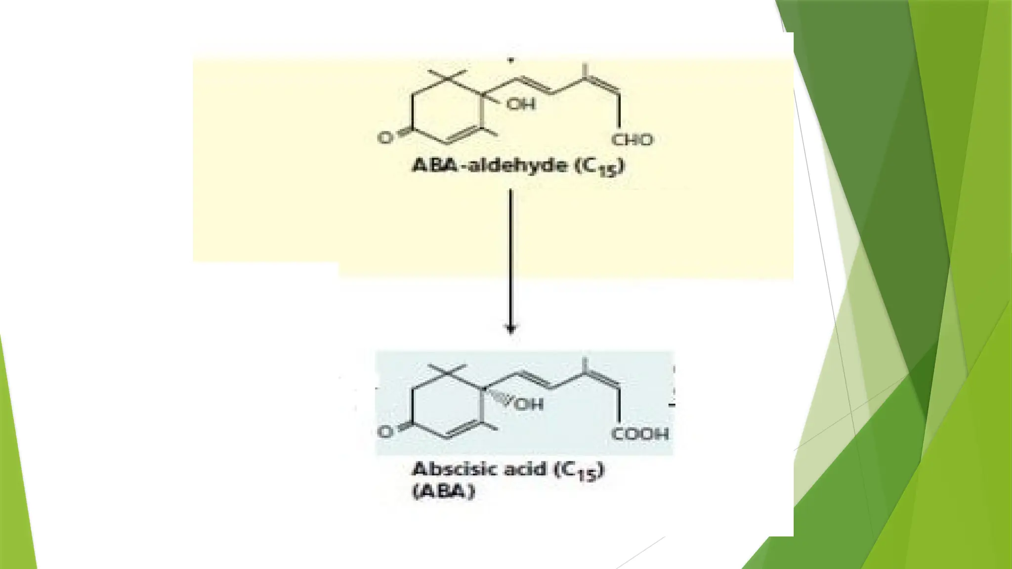 plant harmone- abscisic acid & ethylene and mechanism of action | PPTX