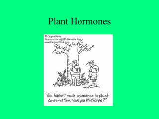 Plant Hormones
 